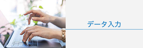アンケートの集計や受発注データの入力など、単純なデータ入力を代行します。